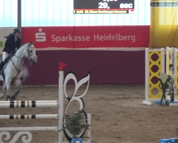 Reitturnier Eppelheim 2020