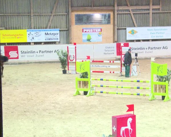 Reitturnier Henau 2019