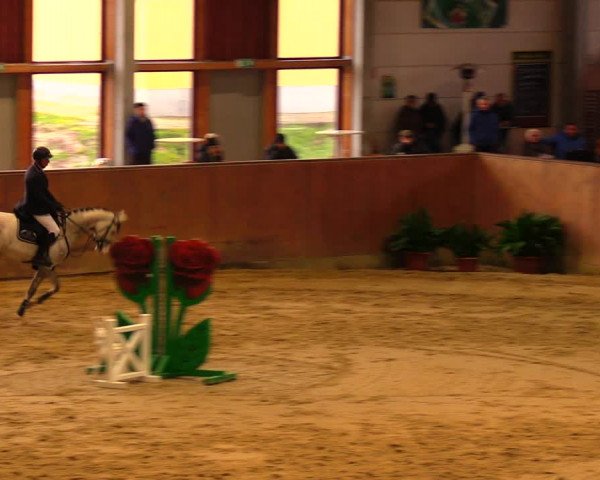 Reitturnier Prussendorf 2020