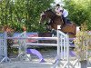 broodmare Little Doll N (Oldenburg show jumper, 2007, from Centolys)