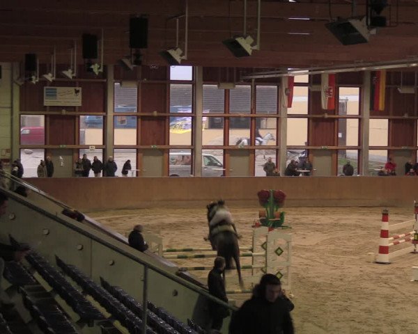 Reitturnier Prussendorf 2020