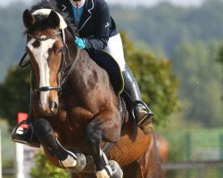 jumper Gramy (Oldenburg, 2005, from Balou du Rouet)