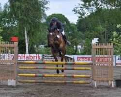 jumper Ilano 14 (Oldenburg, 2009, from Incolor)