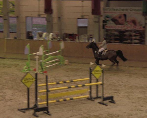 Reitturnier Prussendorf 2020