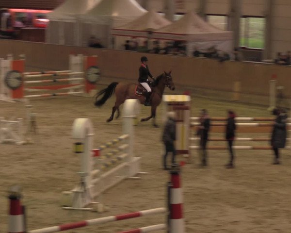 Reitturnier Prussendorf 2020