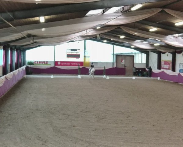 Reitturnier Eppelheim 2020
