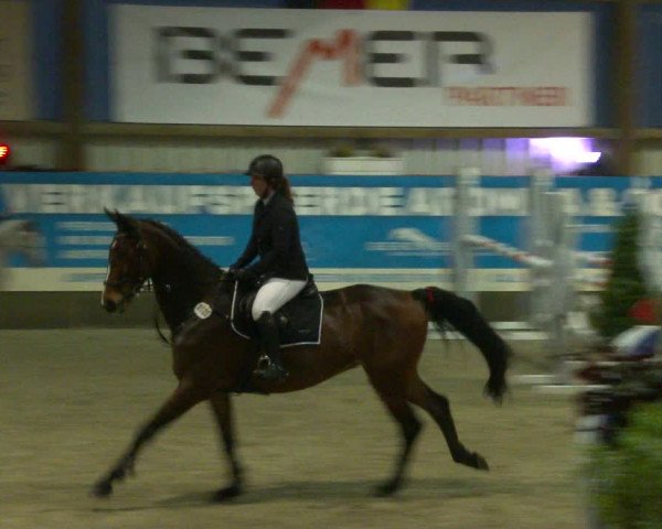 Nordic Jumping events 2020