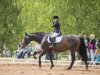 dressage horse Rosenboy (Hanoverian, 1999, from Rosentau)