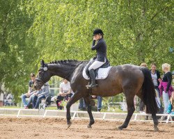 dressage horse Rosenboy (Hanoverian, 1999, from Rosentau)