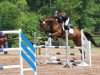 broodmare Annemie (German Sport Horse, 2011, from Criffindor)