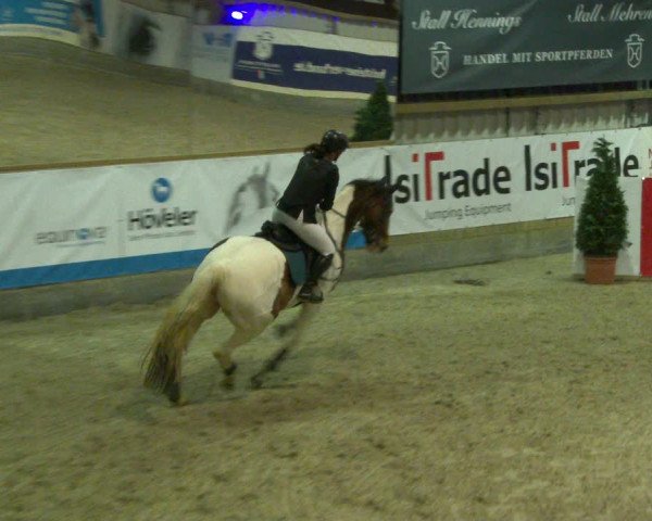 Nordic Jumping events 2020