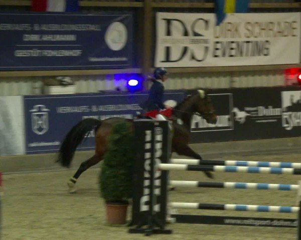 Nordic Jumping events 2020