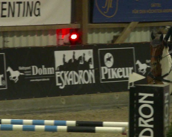 Nordic Jumping events 2020