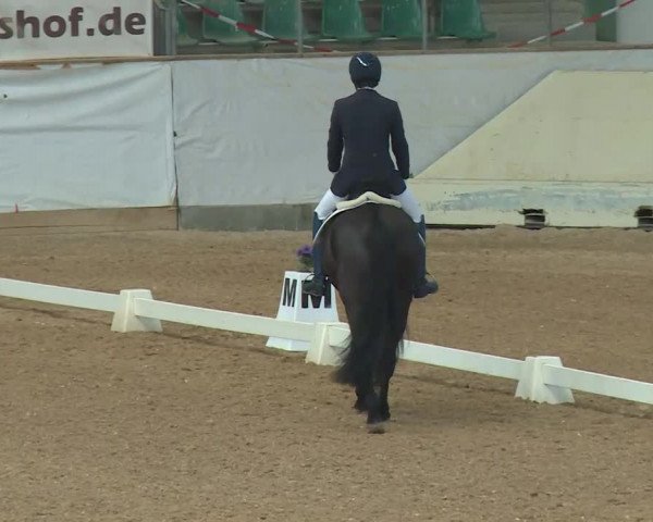 Reitturnier Kreuth/Opf. 2020