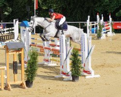 jumper Di-Ba-Du (Nederlands Rijpaarden en Pony, 2010, from Willow)