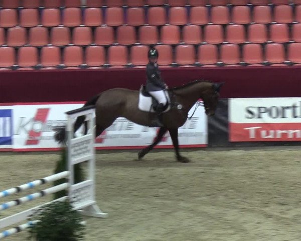Reitturnier Neustadt/Dosse - Lindenau-Halle 2020