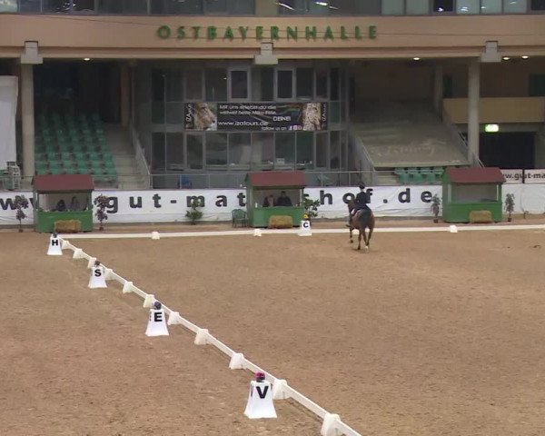 Reitturnier Kreuth/Opf. 2020