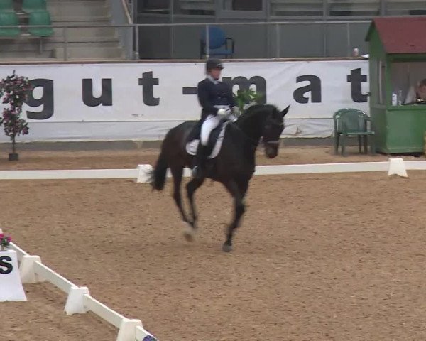 Reitturnier Kreuth/Opf. 2020