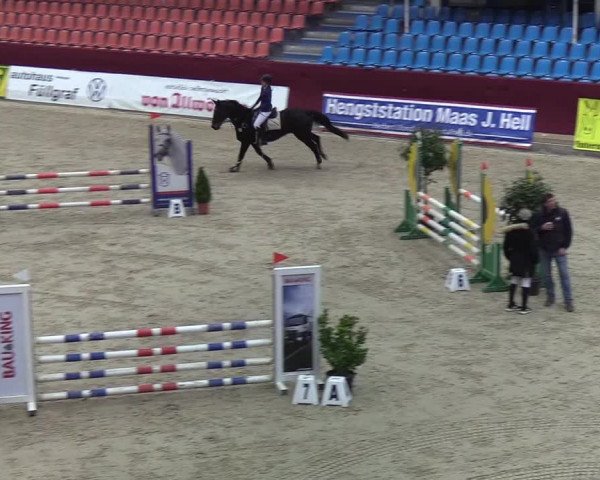 Reitturnier Neustadt/Dosse - Lindenau-Halle 2020
