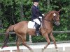 dressage horse Kus Kus (Polish Warmblood, 2005, from Love Affair)