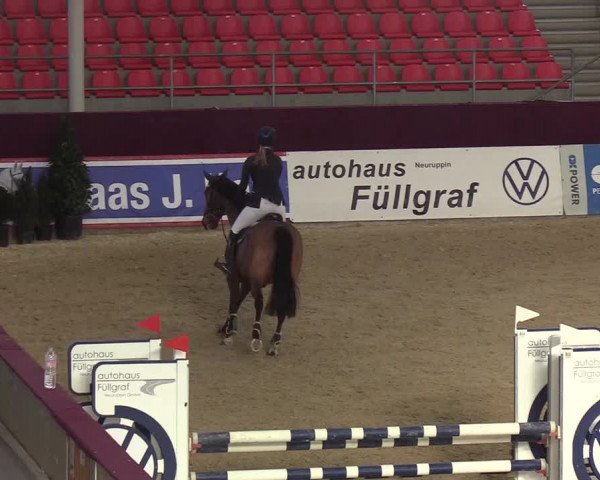 Reitturnier Neustadt/Dosse - Lindenau-Halle 2020