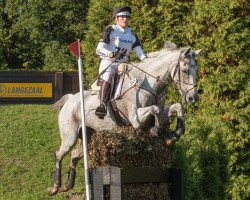 Zuchtstute Sambucca 10 (Trakehner, 2002, von Handryk)