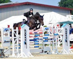 jumper Diacara 2 (Oldenburg show jumper, 2010, from Diarado)