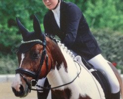 Dressurpferd Shinings Shadow (Deutsches Reitpferd, 2001, von Shinings Nr.One)