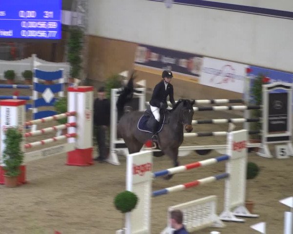 Reitturnier Elmshorn 2020