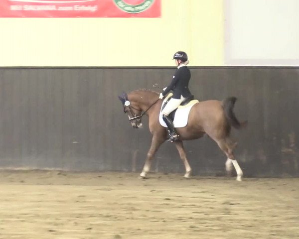 Reitturnier St. Peter Ording 2021