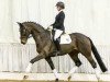 dressage horse Final Destination (Hanoverian, 2011, from Fuechtels Floriscount OLD)