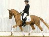 dressage horse Finess (Hanoverian, 2012, from Fuechtels Floriscount OLD)