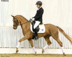 dressage horse Finess (Hanoverian, 2012, from Fuechtels Floriscount OLD)