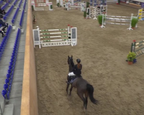 Reitturnier Elmshorn 2020