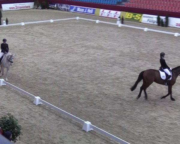 Reitturnier Neustadt/Dosse - Lindenau-Halle 2020