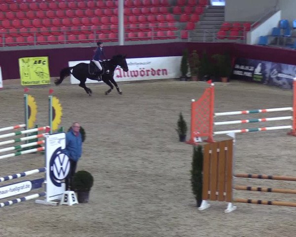 Reitturnier Neustadt/Dosse - Lindenau-Halle 2020