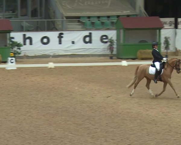 Reitturnier Kreuth/Opf. 2020
