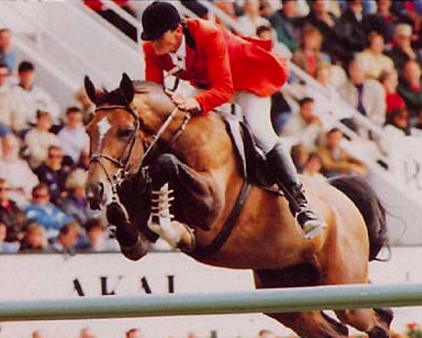 stallion Quartz du Vallon (Selle Français, 1982, from Artichaut)
