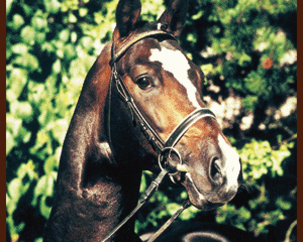 stallion Prikarn Miro (Rhinelander, 1993, from Prinz Miro)