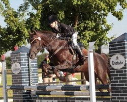 broodmare Ricurly Sue (German Riding Pony, 2001, from Oosteinds Ricky)