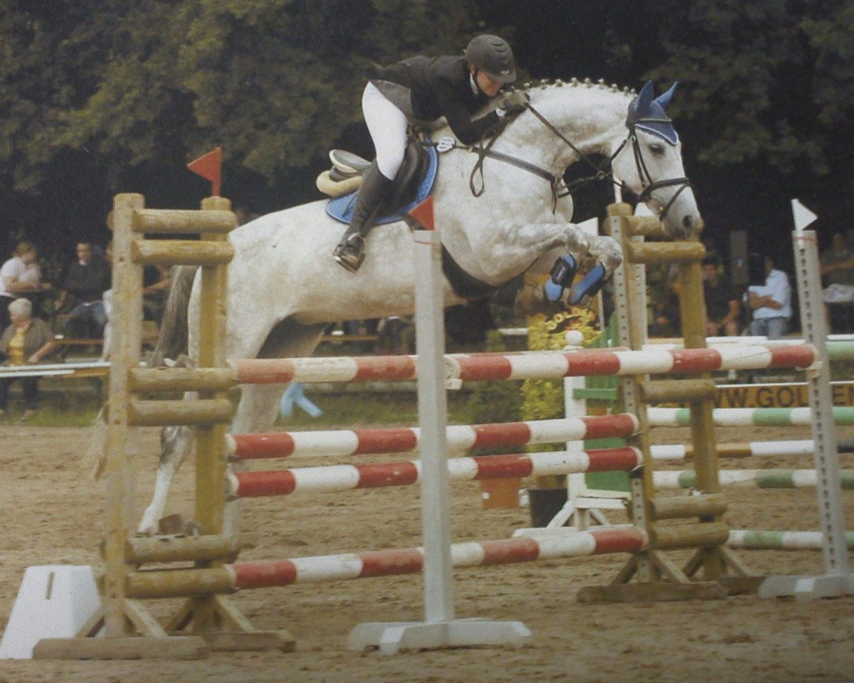 jumper Shakira 68 (Slovenian Warmblood, 1999, from Scampolo)