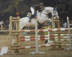 jumper Shakira 68 (Slovenian Warmblood, 1999, from Scampolo)