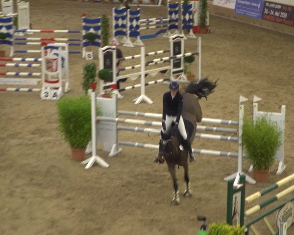 Reitturnier Elmshorn 2020