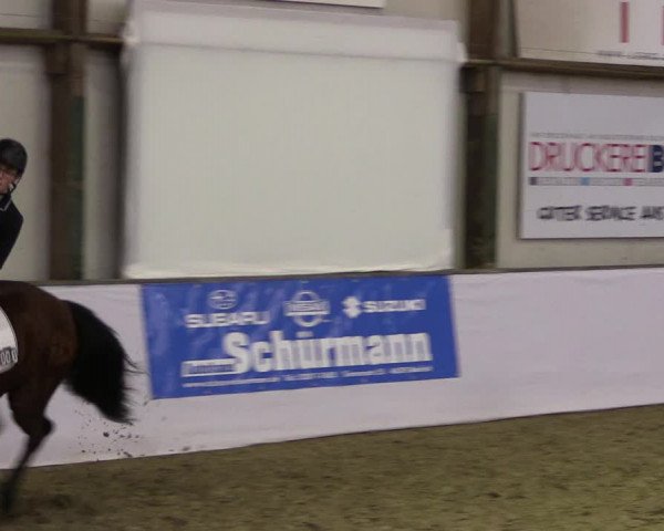 Reitturnier Barlo-Bocholt 2020