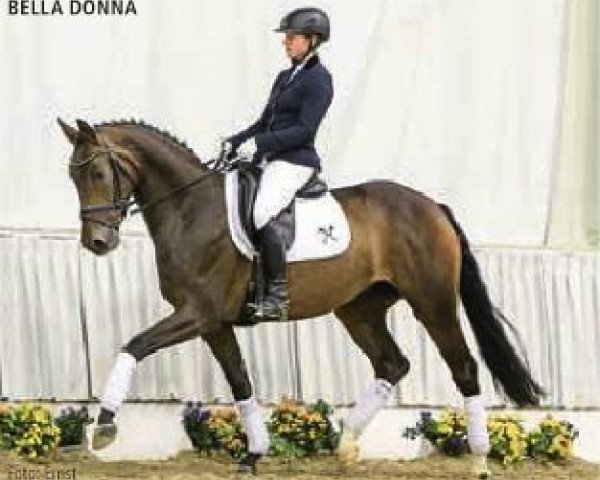 dressage horse Bella Donna (Hanoverian, 2012, from Bonard de Charry)