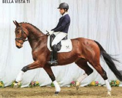 dressage horse Bella Vista TI (Hanoverian, 2010, from Bonifatius)