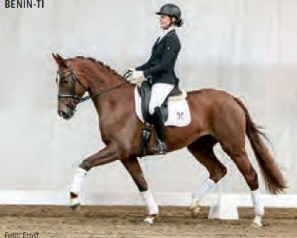 broodmare Benin-Ti (Hanoverian, 2012, from Bonard de Charry)