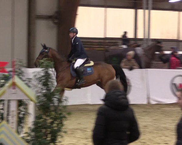 Reitturnier Barlo-Bocholt 2020