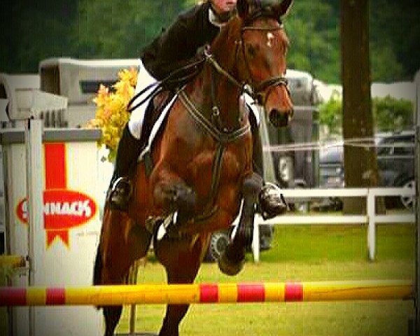 jumper Forite (KWPN (Royal Dutch Sporthorse), 2010, from Numero Uno)