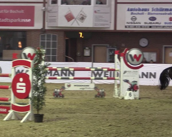 Reitturnier Barlo-Bocholt 2020